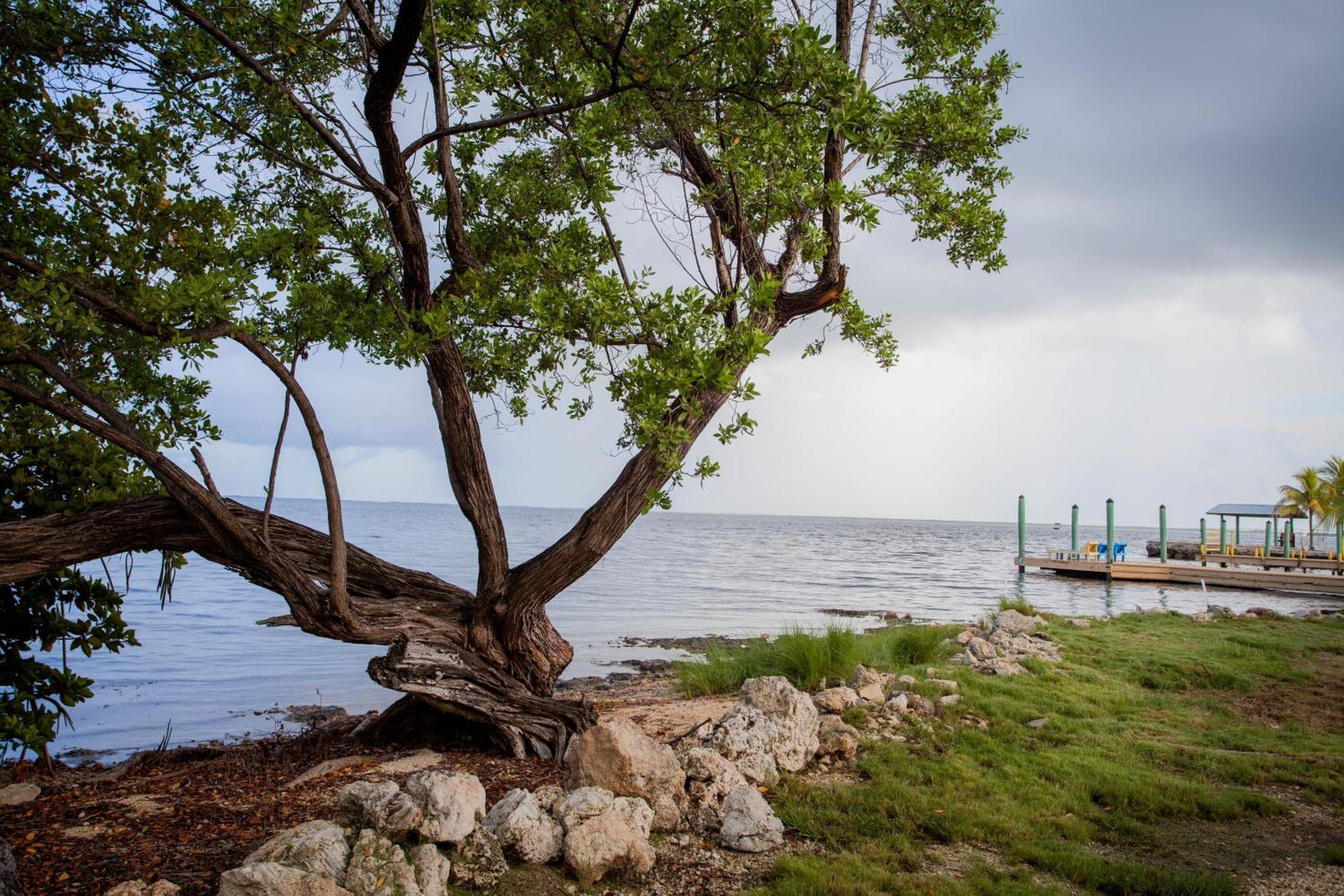 Kings Kamp Hotel Key Largo Eksteriør billede