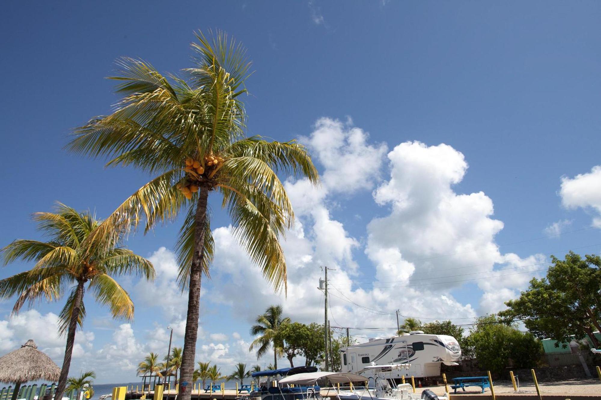 Kings Kamp Hotel Key Largo Eksteriør billede